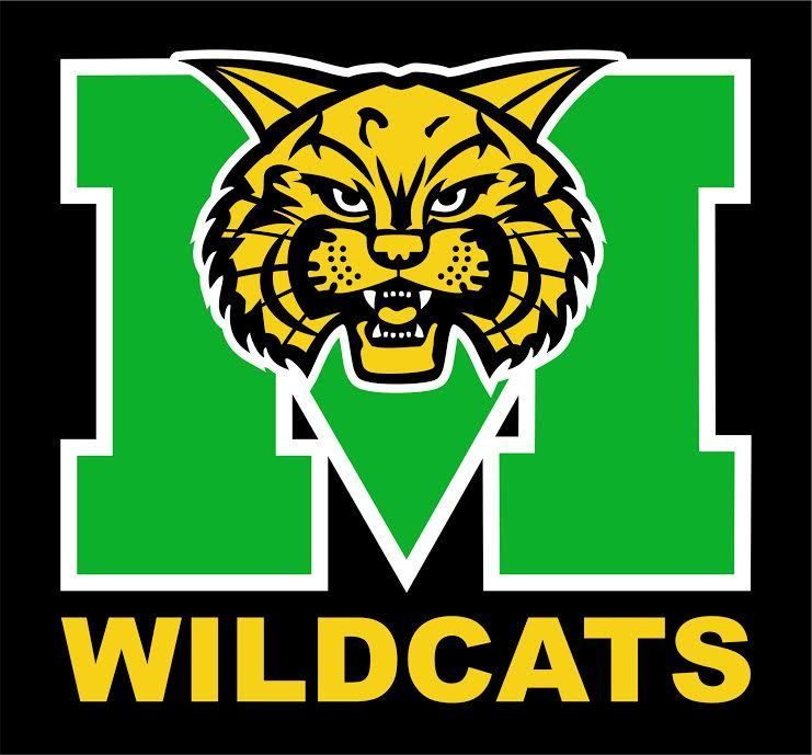 Milan Softball Tournament Re-Scheduled